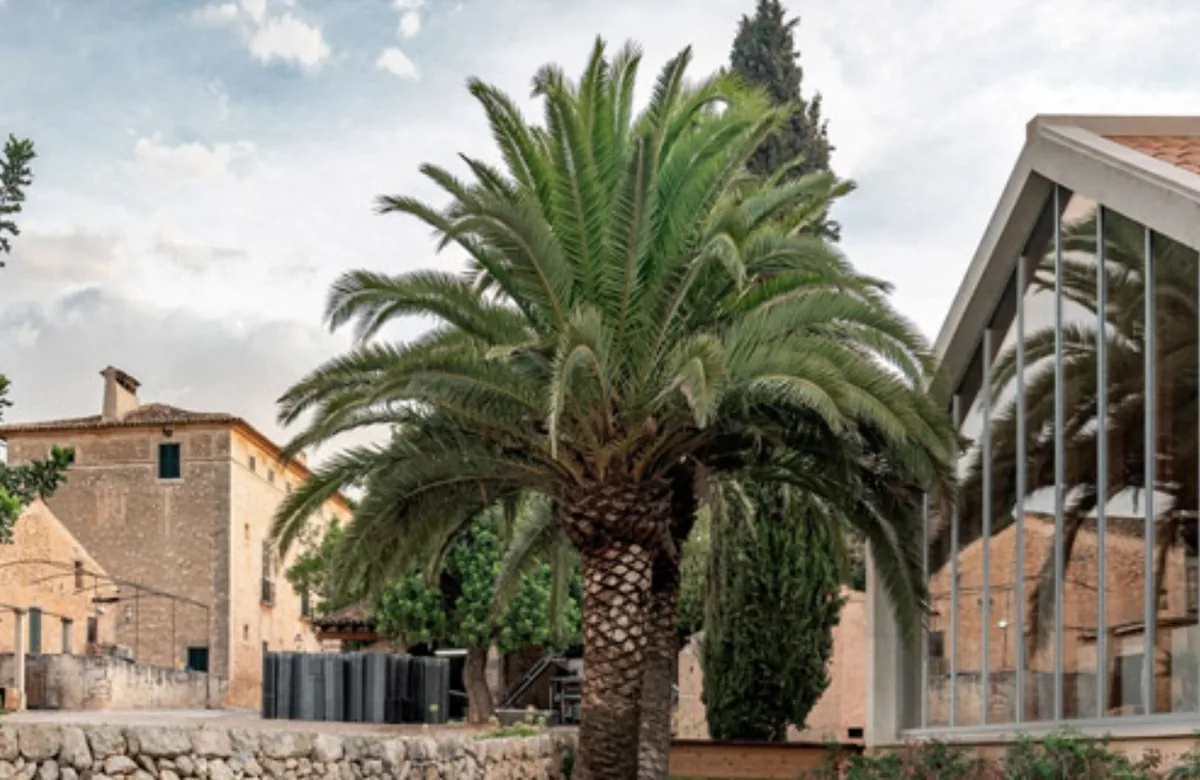 Bodega Ribas
