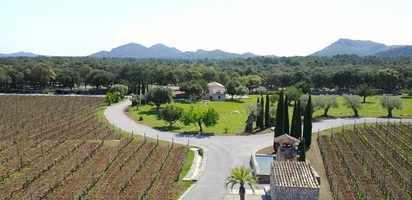 Bodega XALOC